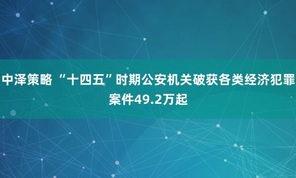 中泽策略 “十四五”时期公安机关破获各类经济犯罪案件49.2万起
