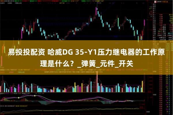 易投投配资 哈威DG 35-Y1压力继电器的工作原理是什么？_弹簧_元件_开关