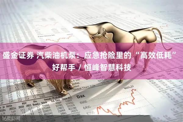 盛金证券 汽柴油机泵：应急抢险里的 “高效低耗” 好帮手 / 恒峰智慧科技