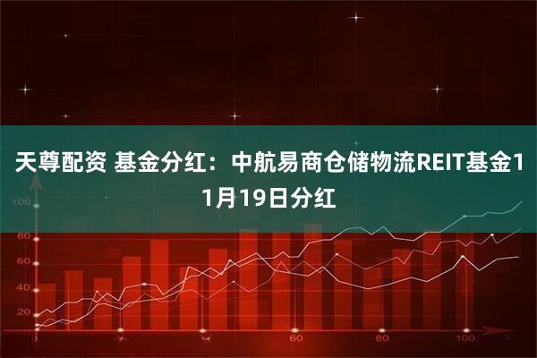 天尊配资 基金分红：中航易商仓储物流REIT基金11月19日分红