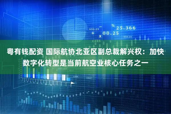 粤有钱配资 国际航协北亚区副总裁解兴权：加快数字化转型是当前航空业核心任务之一