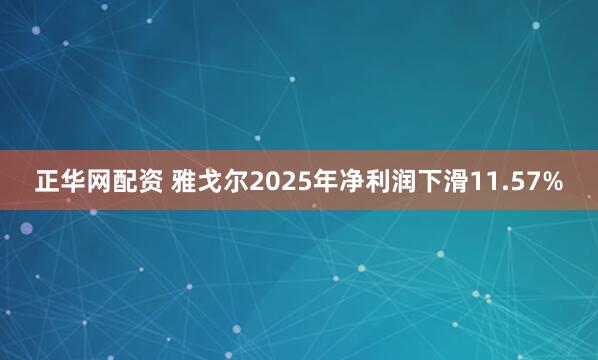 正华网配资 雅戈尔2025年净利润下滑11.57%